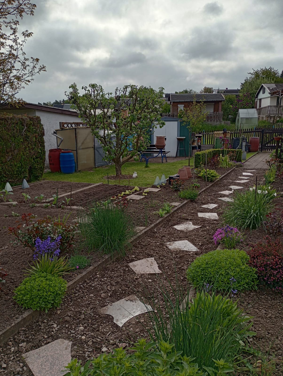 Garten 01