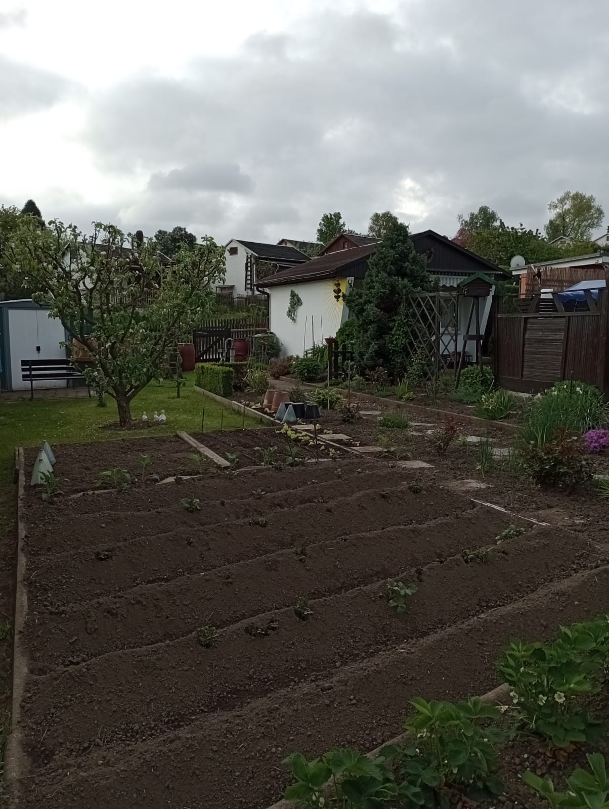 Garten 01