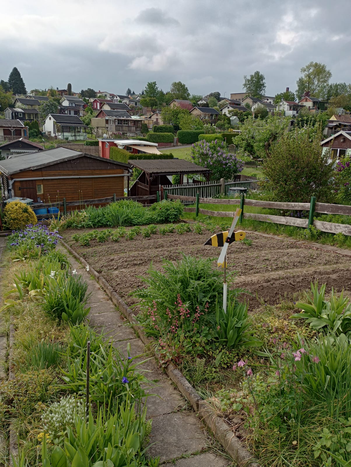 Garten 01
