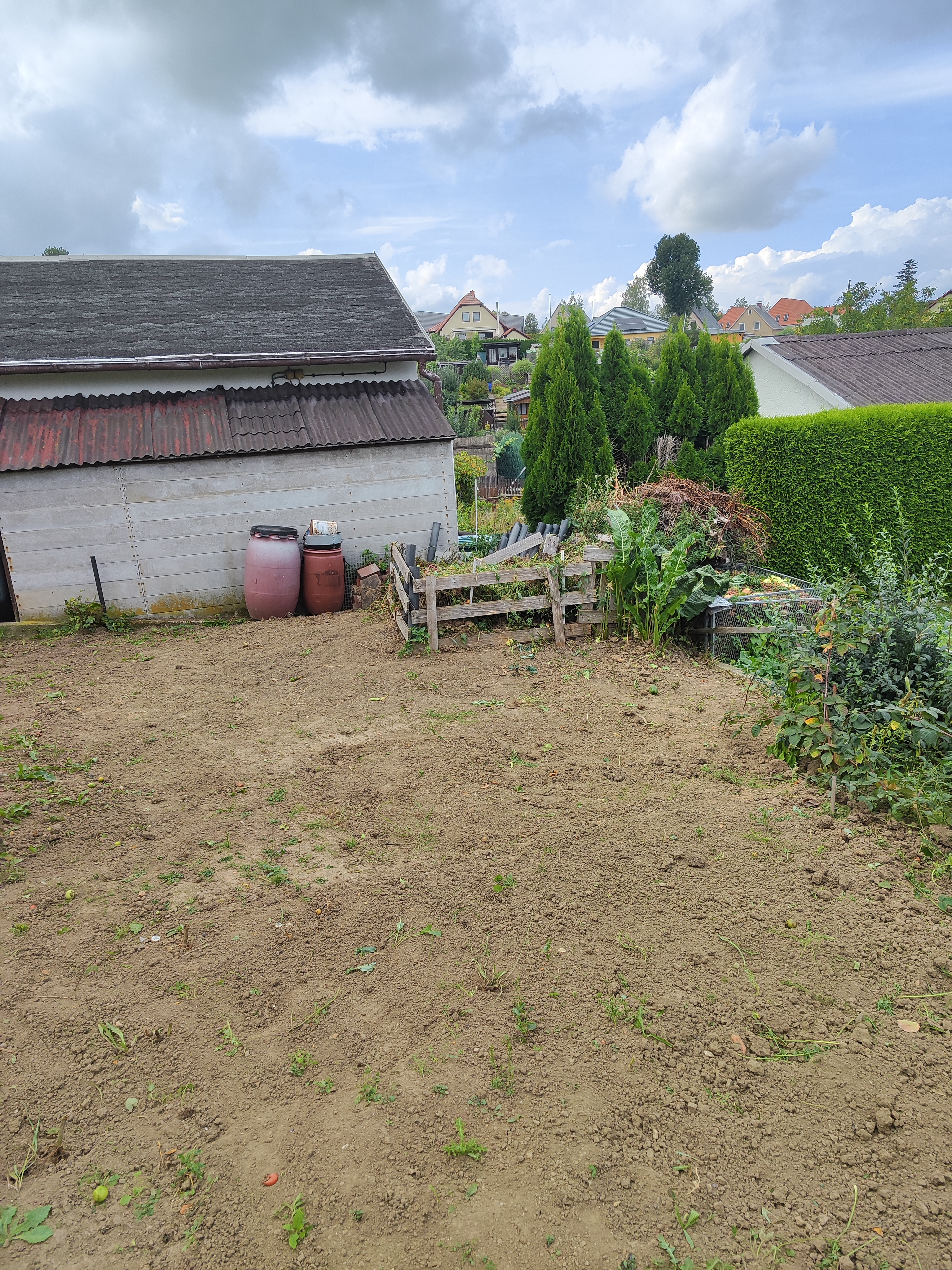 Garten 47 - Linde 4